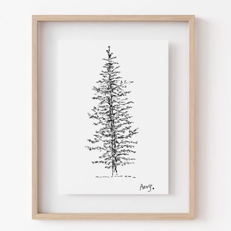 Evergreen Pine Tree Ink Art Print 5 x 7