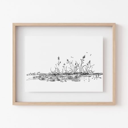 Rain On Pond Ink Art Print 5 x 7