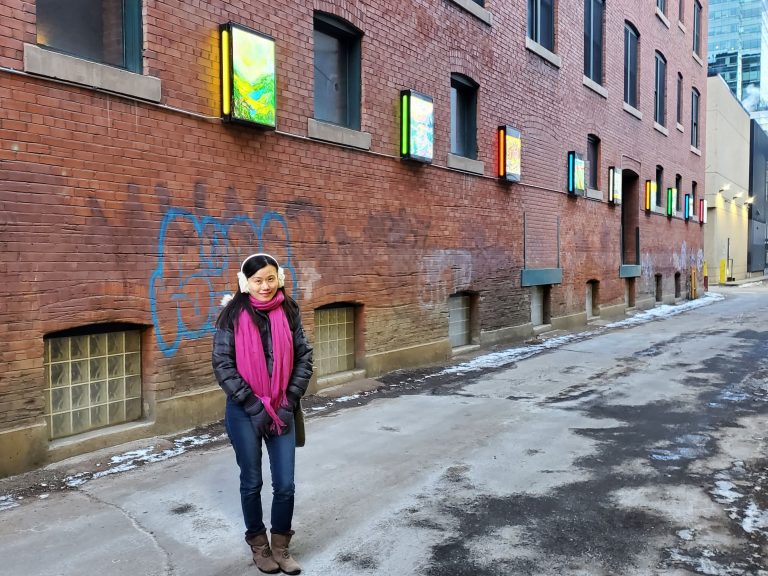 Edmonton Alley Of Light Art Boxes Aeris Osborne
